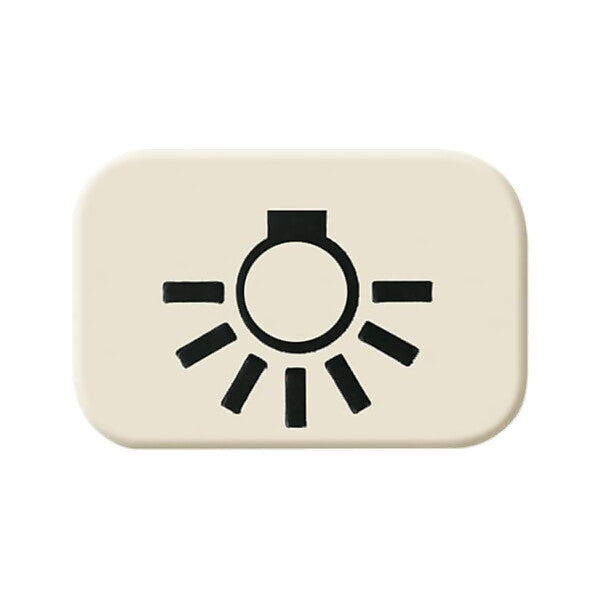 Busch-Jaeger Tastersymbol Licht 2525 LI